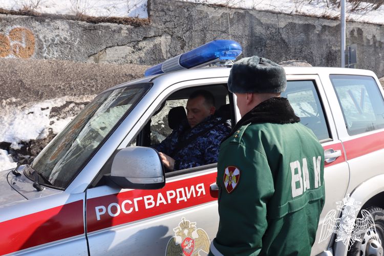 На Камчатке росгвардейцы проводят мероприятия по обеспечению безопасности дорожного движения