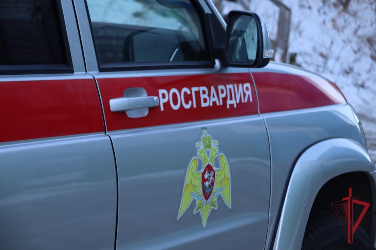 На Камчатке росгвардейцами задержан подозреваемый в грабеже