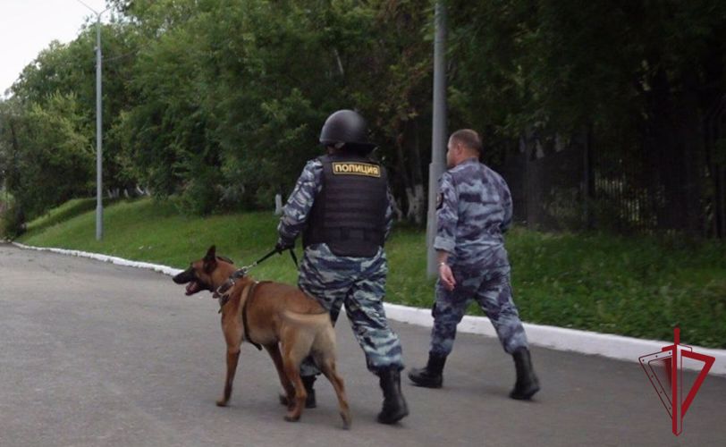 На Камчатке росгвардейцы приняли участие во всероссийских единых учениях в образовательных организациях