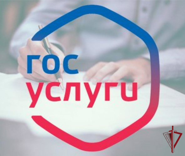 Росгвардия напоминает жителям Камчатки о преимуществе использования госуслуг в электронном виде