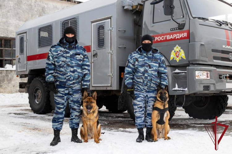 На Камчатке кинологи Росгвардии отмечают профессиональный праздник 