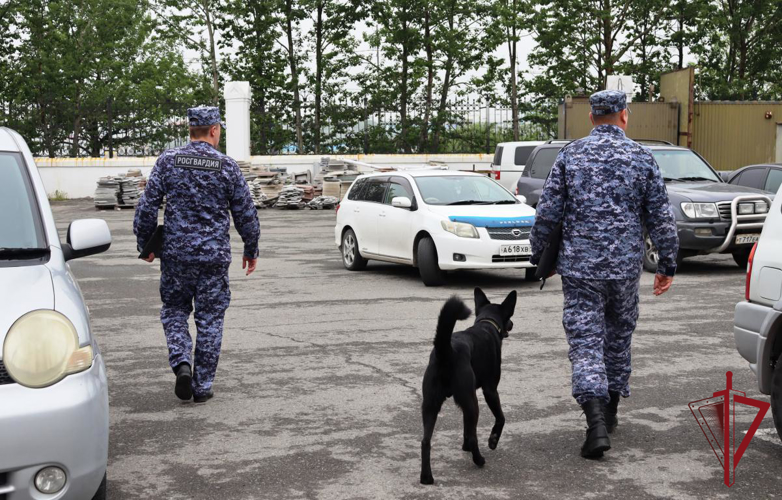 На Камчатке росгвардейцы обеспечили безопасность празднования Дня семьи, любви и верности