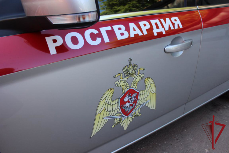 На Камчатке вневедомственная охрана Росгвардии задержала правонарушителя 