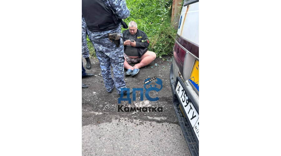 На Камчатке сотрудники Росгвардии задержали нетрезвого водителя, устроившего массовое ДТП