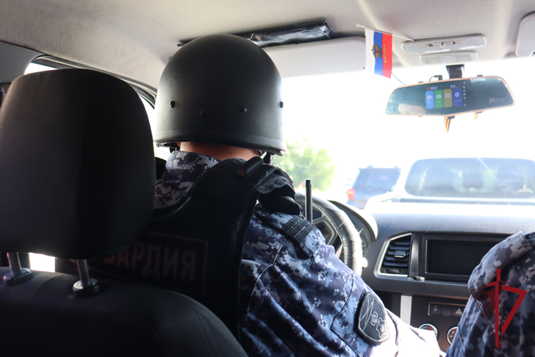 На Камчатке сотрудники Росгвардии задержали нетрезвого водителя, устроившего массовое ДТП