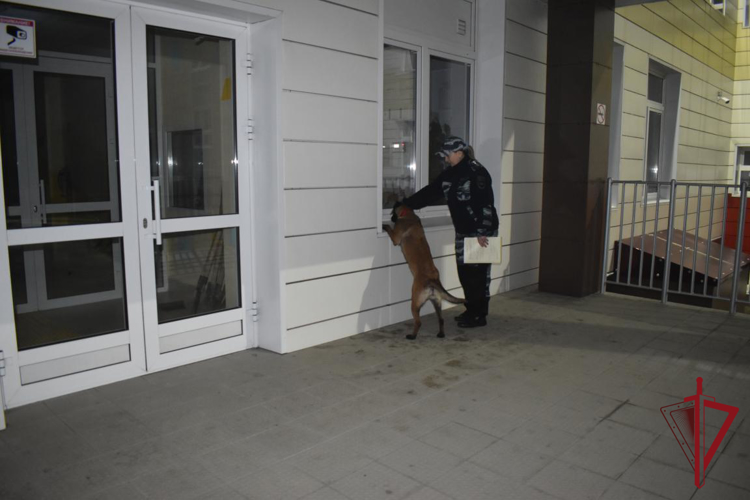 Специалисты краевых управлений Росгвардии и МВД России проверили камчатские школы 