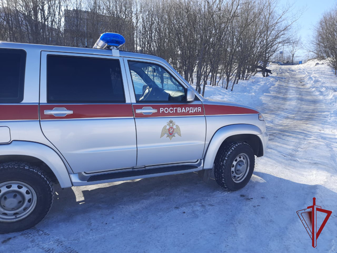 На Камчатке росгвардейцы задержали вооруженного ножом правонарушителя