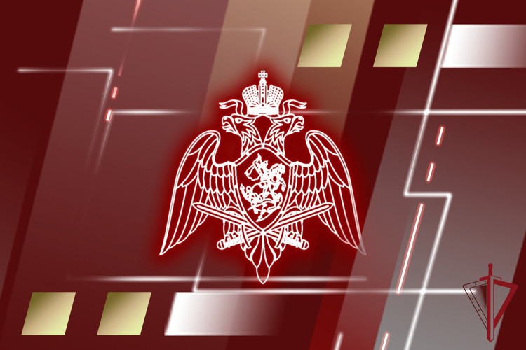 Приняты новые законы, регулирующие частную детективную и охранную деятельность