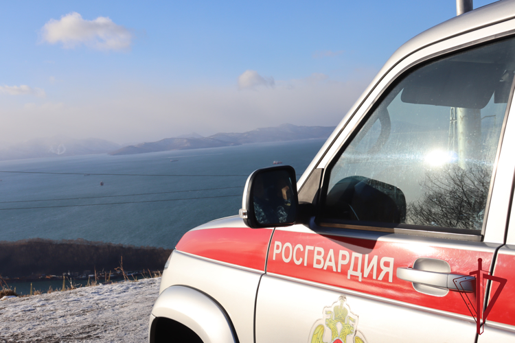 На Камчатке росгвардейцы задержали мужчину, находящегося в федеральном розыске