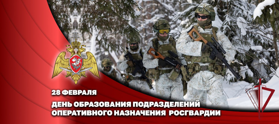 Генерал-полковник Владислав Ершов поздравил личный состав и ветеранов частей оперативного назначения с профессиональным праздником