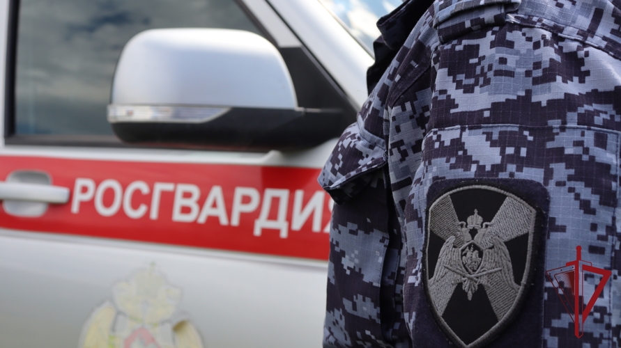 На Камчатке Росгвардия проверила образовательные учреждения