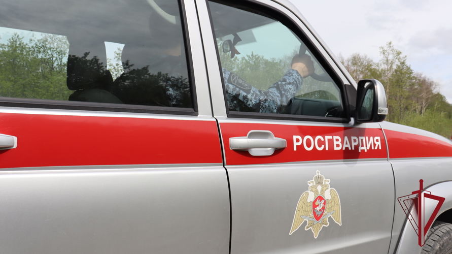 Итоги работы за 7 месяцев 2025  года подвели в Отделе вневедомственной охраны Росгвардии по Камчатскому краю