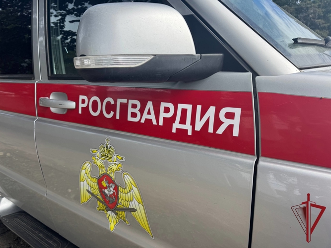 Росгвардейцы задержали агрессивных посетителей магазина на Камчатке