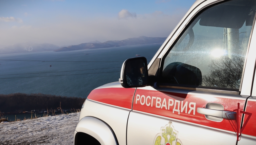 Сотрудники Росгвардии задержали нетрезвого водителя на Камчатке