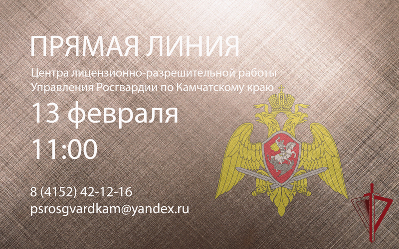 Центр лицензионно-разрешительной работы Росгвардии проведёт прямую линию для жителей Камчатки