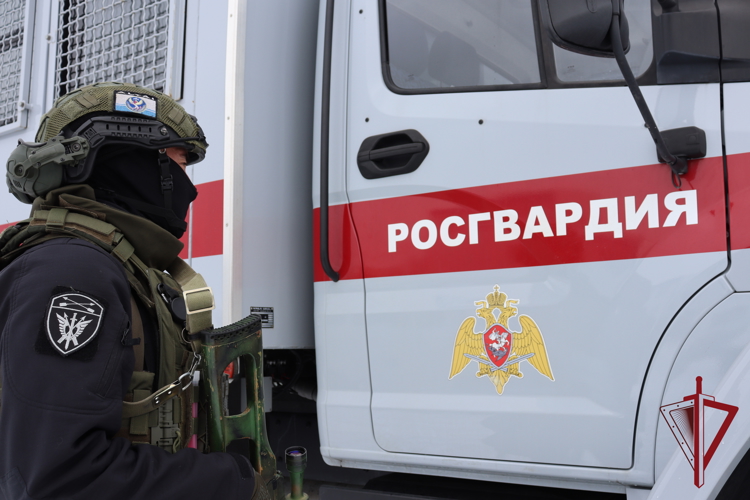 При поддержке спецназа Росгвардии на Камчатке пресечен незаконный оборот немаркированного алкоголя