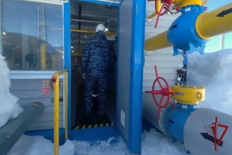 Росгвардия проверила безопасность объектов ТЭК на Камчатке