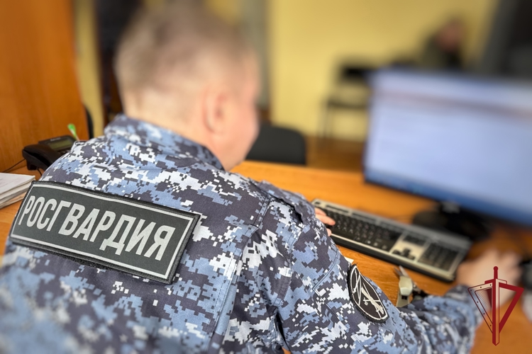 Росгвардия напоминает жителям Камчатки о преимуществе использования госуслуг в электронном виде