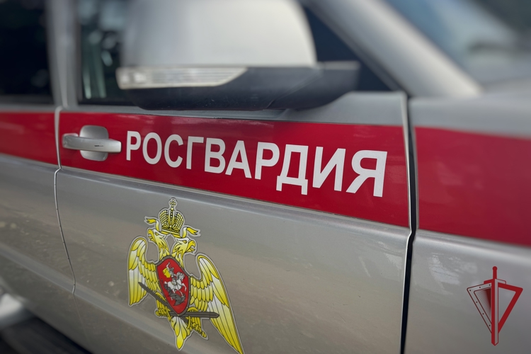 Камчатские росгвардейцы более 1500 раз выезжали по сигналу «Тревога» в 2026 году