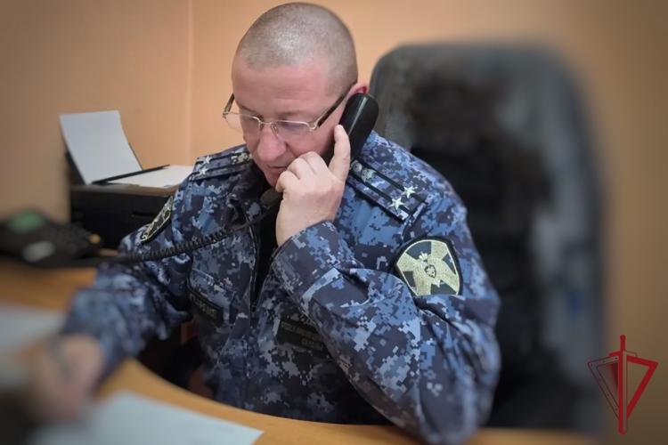 Как поступить на службу в Росгвардию: итоги прямой линии на Камчатке
