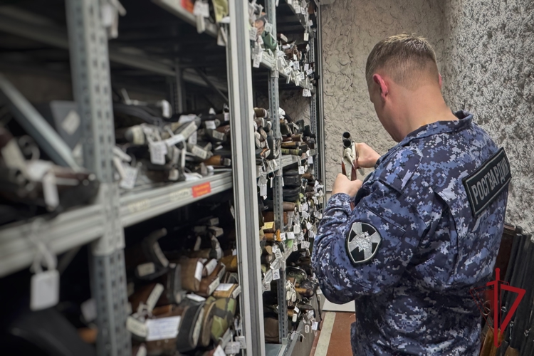 Росгвардия напоминает жителям Камчатки, что делать при утрате гражданского оружия
